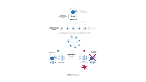 Alloplex ENLIST Cells process graphic