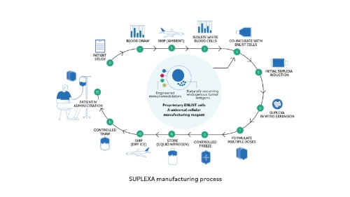 Alloplex SUPLEXA manufacturing process graphic